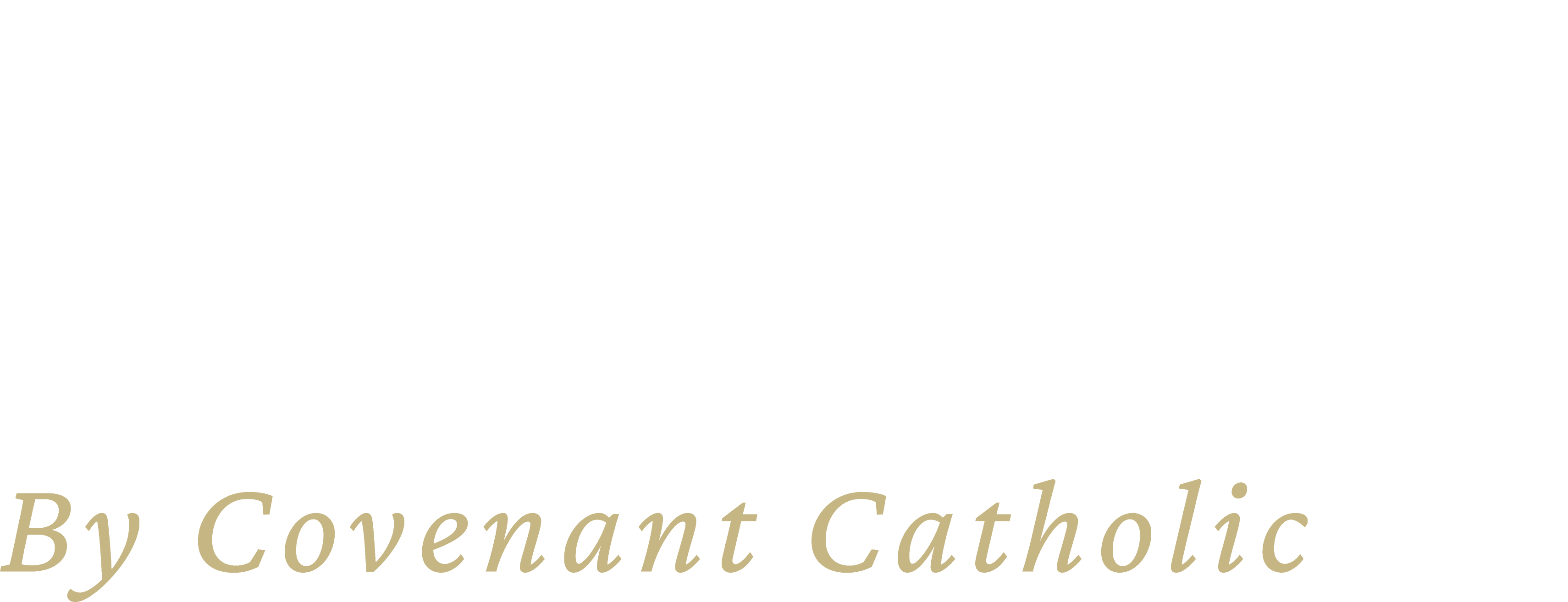 Visual Rosary logo